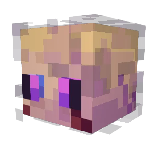 Hayden0012 Minecraft avatar head, 3D render