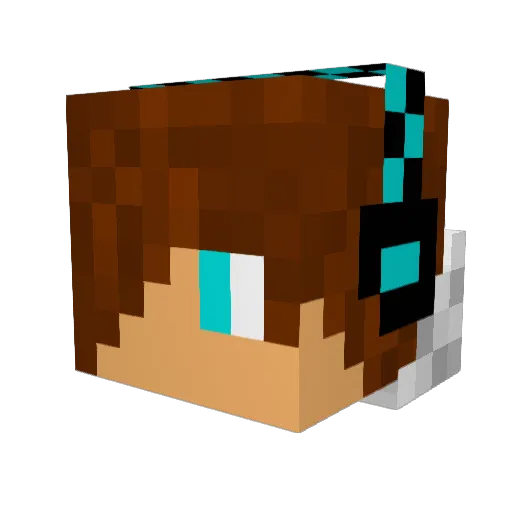 Hayden1337 Minecraft avatar head, 3D render