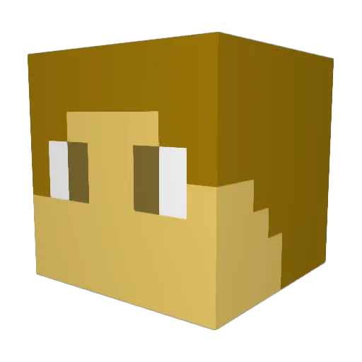 Hayden1810 Minecraft avatar head, 3D render