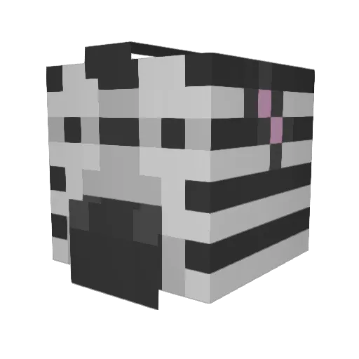 Hayden3010 Minecraft avatar head, 3D render
