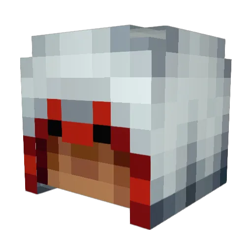 HaydenAndrew18 Minecraft avatar head, 3D render