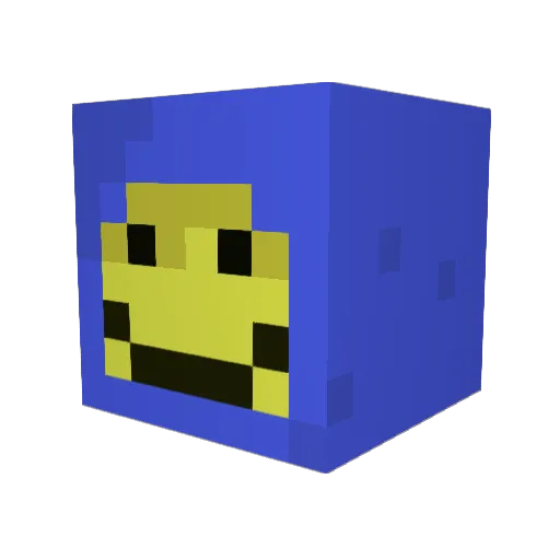 HaydenBear8 Minecraft avatar head, 3D render