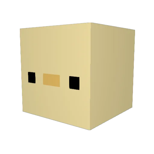 HaydenFergo Minecraft avatar head, 3D render