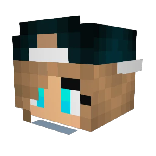 HaydenGraetz Minecraft avatar head, 3D render