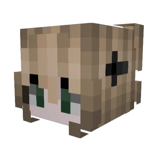 HaydenIsNotHuman Minecraft avatar head, 3D render