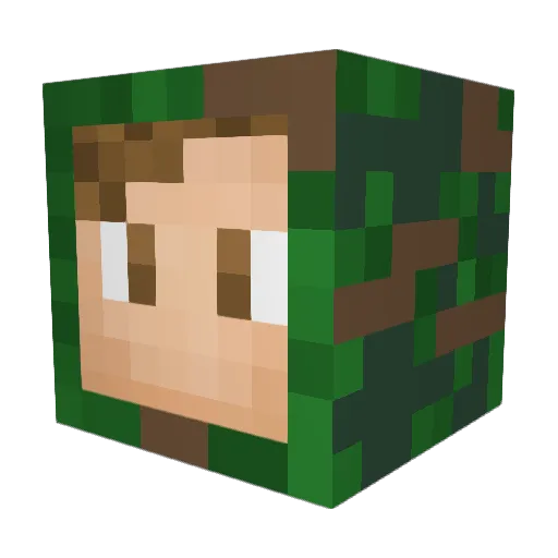 HaydenMalloy Minecraft avatar head, 3D render