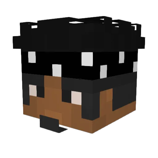 HaydenT1 Minecraft avatar head, 3D render