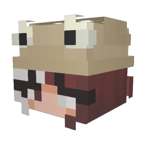 HaydenTime Minecraft avatar head, 3D render