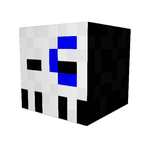 Hayden_41 Minecraft avatar head, 3D render