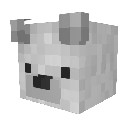 Hayden_644 Minecraft avatar head, 3D render