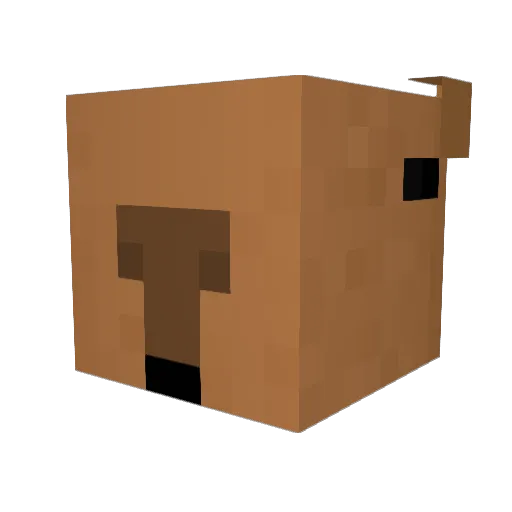 Haydence Minecraft avatar head, 3D render
