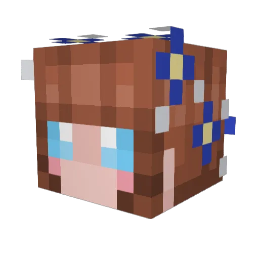 Haydencrow07 Minecraft avatar head, 3D render