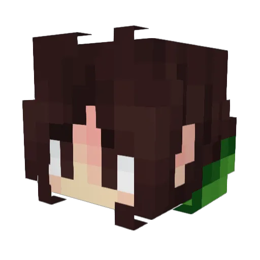 Haydenite Minecraft avatar head, 3D render