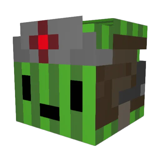 Haydenoli Minecraft avatar head, 3D render