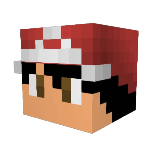 HaydnMikeyeet Minecraft avatar head, 3D render