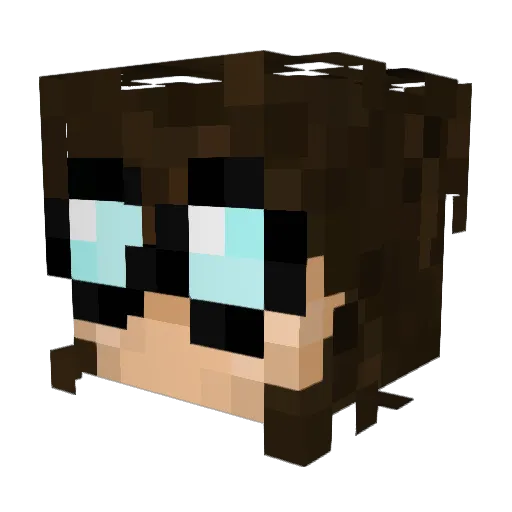 Haydoblad Minecraft avatar head, 3D render