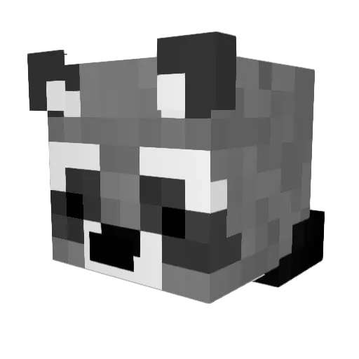 HaydzZA Minecraft avatar head, 3D render