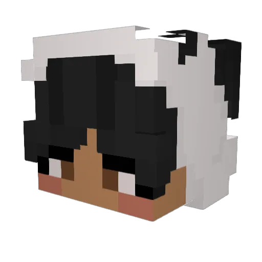Hayfel Minecraft avatar head, 3D render