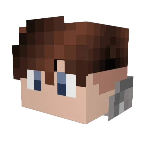 Hayfish69 Minecraft avatar head, 3D render