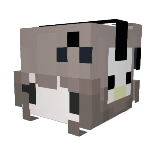 Hayhayzz Minecraft avatar head, 3D render