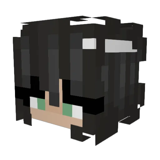 Hayisweird Minecraft avatar head, 3D render