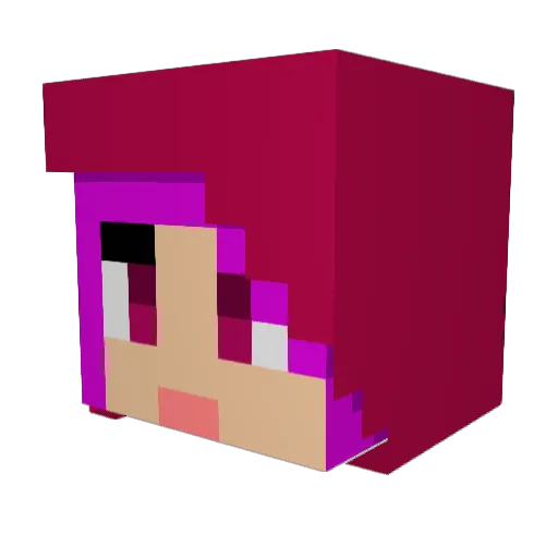 HayitsRosa Minecraft avatar head, 3D render