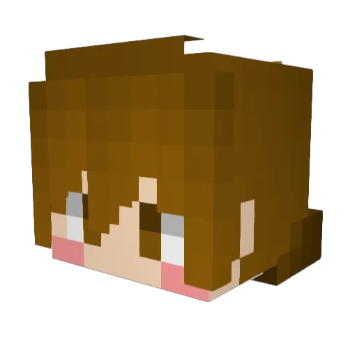 Hayj77 Minecraft avatar head, 3D render