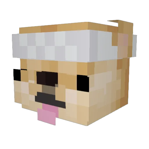 Hayjon28 Minecraft avatar head, 3D render
