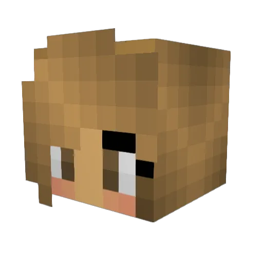 Hayl3y43 Minecraft avatar head, 3D render