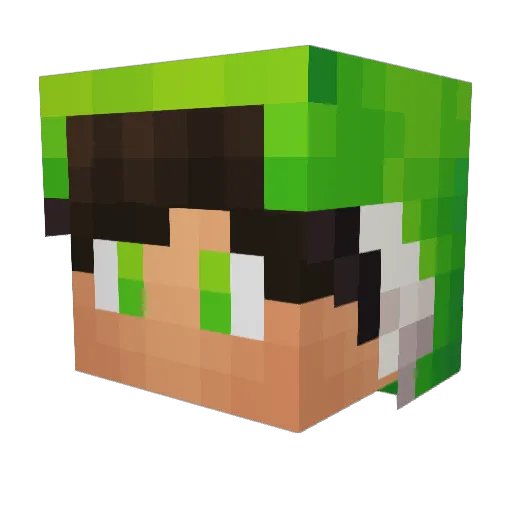 HaylazKedi Minecraft avatar head, 3D render