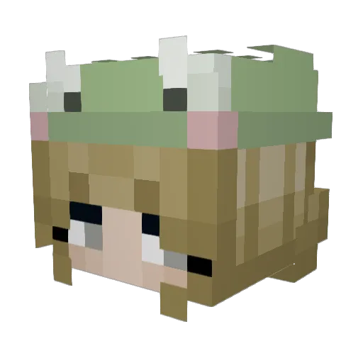 HayleeH Minecraft avatar head, 3D render