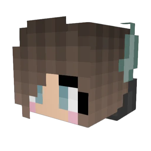HayleeRose Minecraft avatar head, 3D render