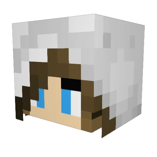 HayleyAnn91 Minecraft avatar head, 3D render