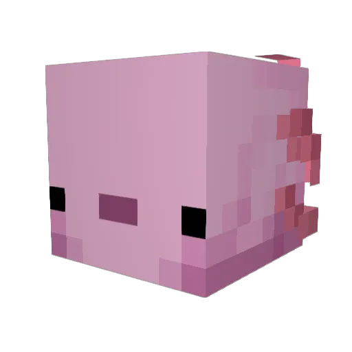 Hayleyparsons16 Minecraft avatar head, 3D render