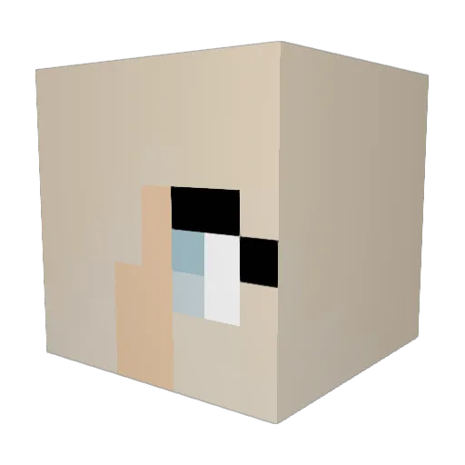 Haylicat Minecraft avatar head, 3D render