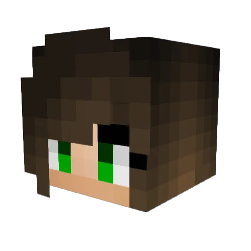 HaylieRBaker Minecraft avatar head, 3D render