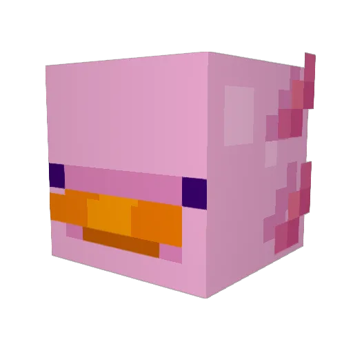 Hayoung_LovE0927 Minecraft avatar head, 3D render