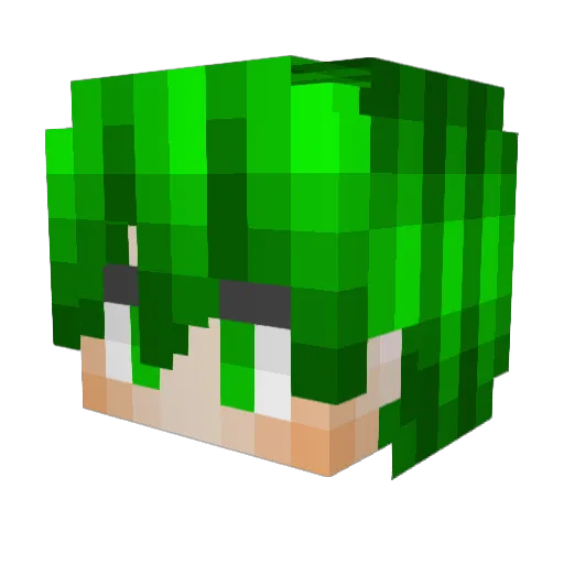Hayreebees Minecraft avatar head, 3D render
