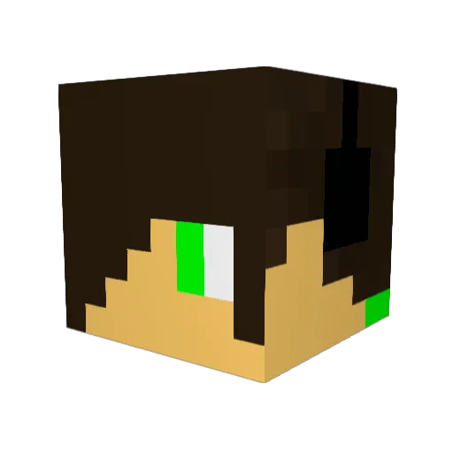 Hayro2038 Minecraft avatar head, 3D render