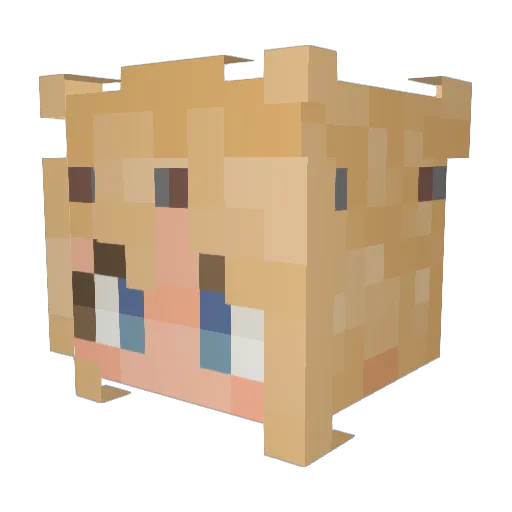 Haystackss Minecraft avatar head, 3D render