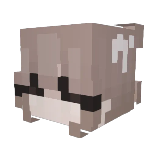Hayukirtx Minecraft avatar head, 3D render