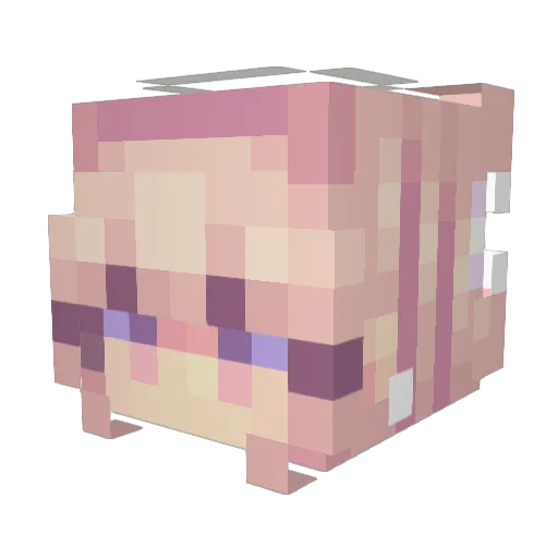 Hayven_ Minecraft avatar head, 3D render