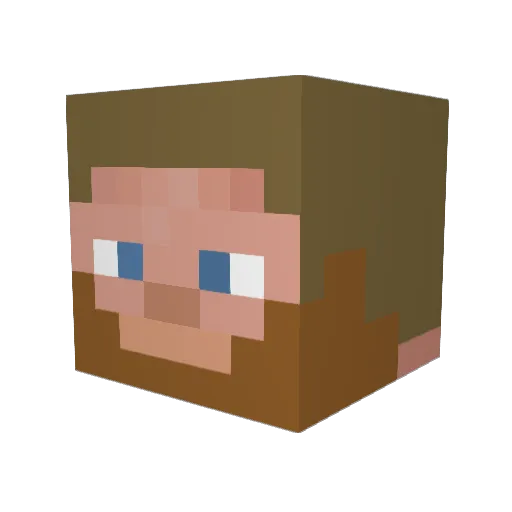 Hayxdn Minecraft avatar head, 3D render