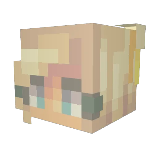 HayzelNoot Minecraft avatar head, 3D render