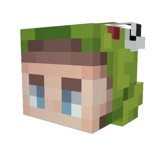 Hayztulipz Minecraft avatar head, 3D render