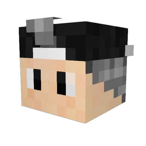 Haz00z Minecraft avatar head, 3D render