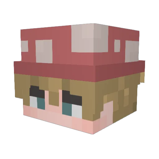 Haz4Kill Minecraft avatar head, 3D render