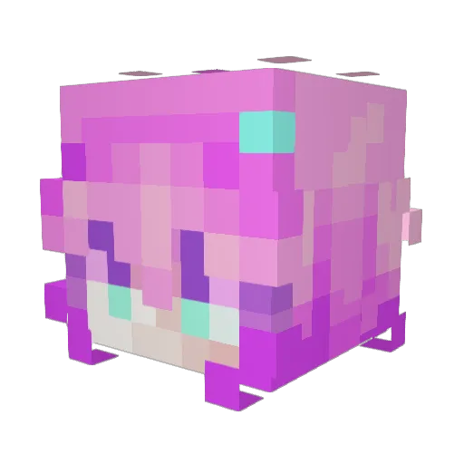 HazelGrace0607 Minecraft avatar head, 3D render
