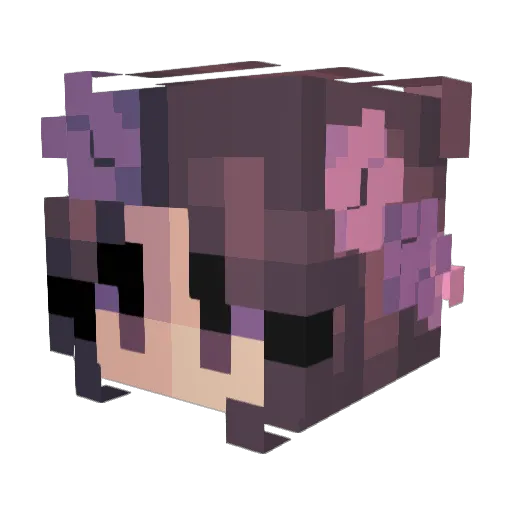 Hazelight12 Minecraft avatar head, 3D render