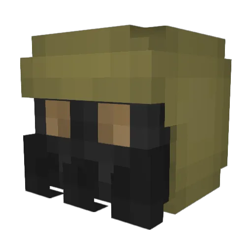 Hazmat263 Minecraft avatar head, 3D render